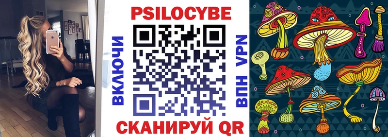 это официальный сайт  ссылка на мегу как войти  Камызяк  наркота  Псилоцибиновые грибы прущие грибы 